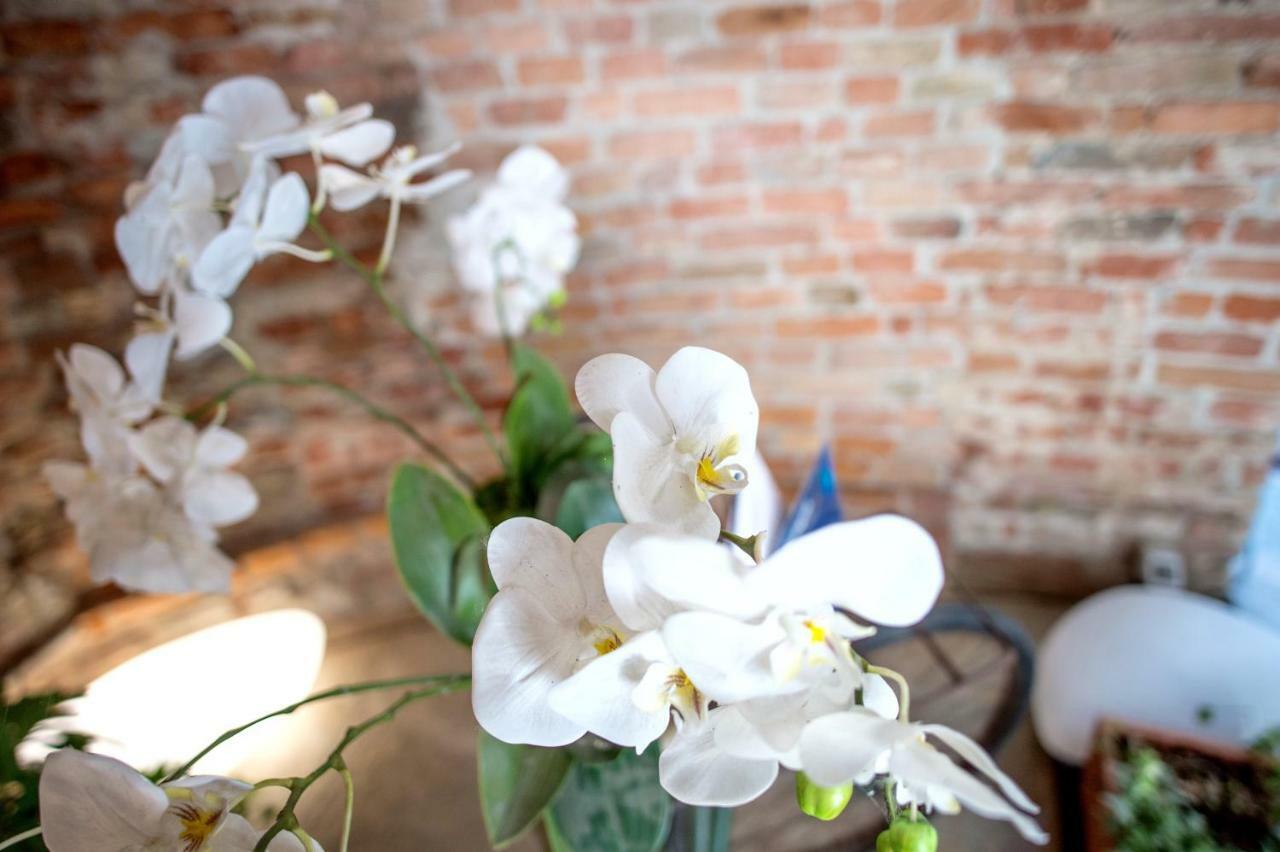La Canonica - Charming Self-Catering Apartments In 니차몬페라토 외부 사진
